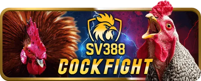 Đội ngũ hỗ trợ play b52 club 24/7